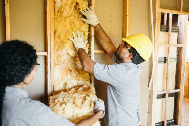 Best Eco-Friendly or Green Insulation Solutions  in Edgewater, MD